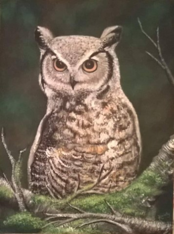 Image of Great Horned Owl by Kristy Townes from Pikeville